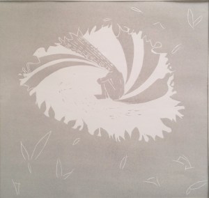 10 Gallus (2)