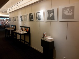 CAM00111 (1)