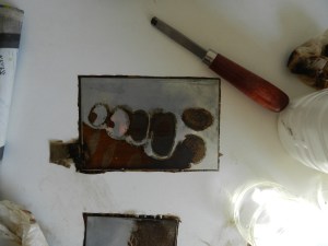 DSCN1767